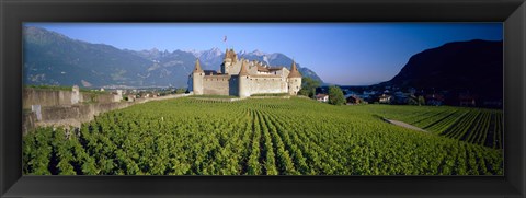 Framed Vineyard in front of a castle, Aigle Castle, Musee de la Vigne et du Vin, Aigle, Vaud, Switzerland Print