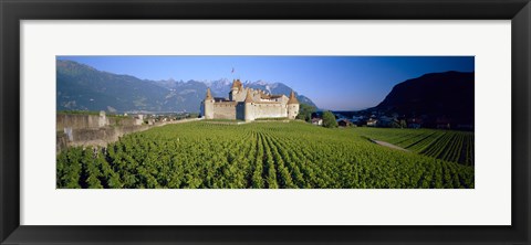 Framed Vineyard in front of a castle, Aigle Castle, Musee de la Vigne et du Vin, Aigle, Vaud, Switzerland Print