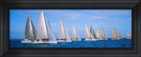 Framed Yachts in the ocean, Key West, Florida, USA Print