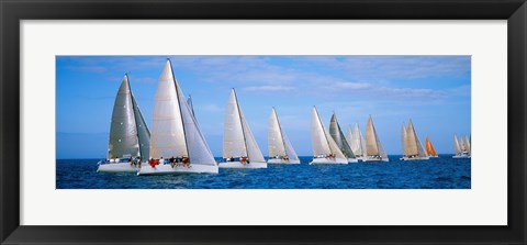 Framed Yachts in the ocean, Key West, Florida, USA Print