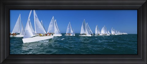 Framed Sailboats racing in the ocean, Key West, Florida Print