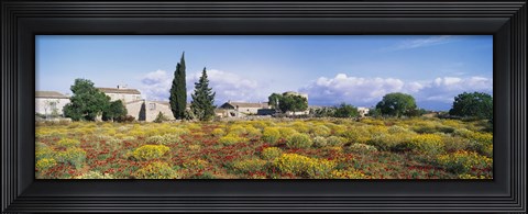 Framed Buildings in a field, Majorca, Spain Print