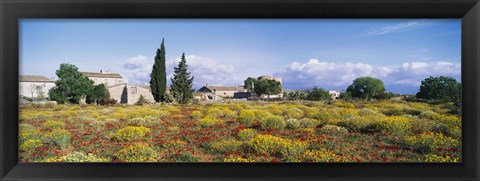 Framed Buildings in a field, Majorca, Spain Print