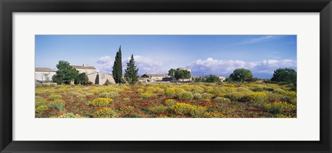 Framed Buildings in a field, Majorca, Spain Print