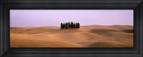 Framed Trees on a rolling landscape, Tuscany, Italy Print