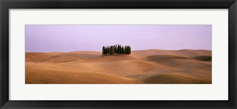 Framed Trees on a rolling landscape, Tuscany, Italy Print