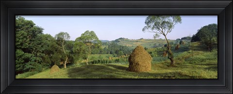 Framed Haystack at the hillside, Transylvania, Romania Print