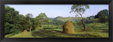 Framed Haystack at the hillside, Transylvania, Romania Print