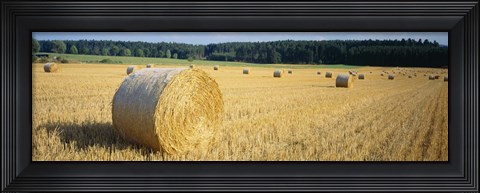 Framed Bales of Hay Southern Germany Print