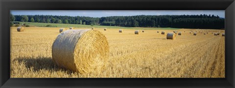 Framed Bales of Hay Southern Germany Print