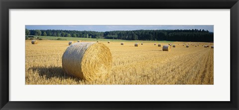 Framed Bales of Hay Southern Germany Print