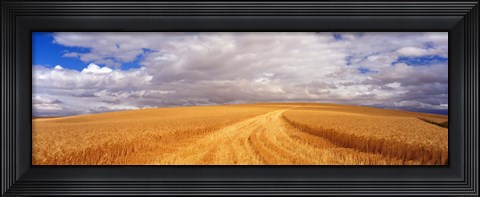 Framed Wheat Field, Washington State, USA Print