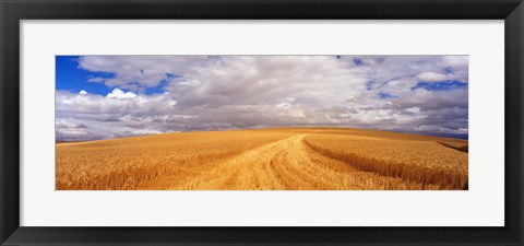 Framed Wheat Field, Washington State, USA Print