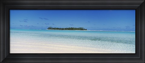 Framed Maina, Cook Islands Print
