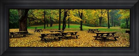 Framed Robert Treman State Park, New York State, USA Print