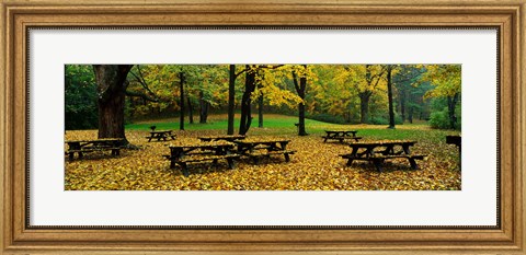 Framed Robert Treman State Park, New York State, USA Print