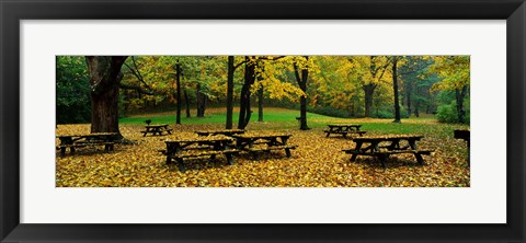 Framed Robert Treman State Park, New York State, USA Print