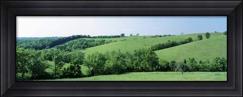Framed Horse Farm, Kentucky, USA Print