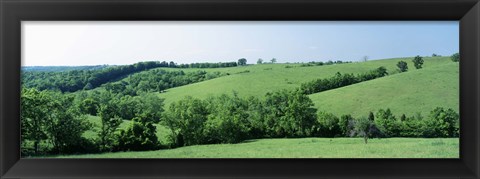 Framed Horse Farm, Kentucky, USA Print