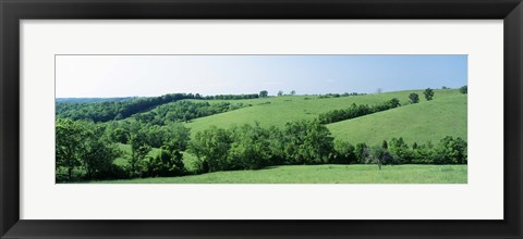 Framed Horse Farm, Kentucky, USA Print