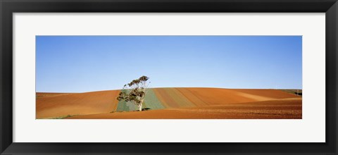 Framed Australia Print