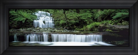 Framed Liffey Falls, Tasmania, Australia Print
