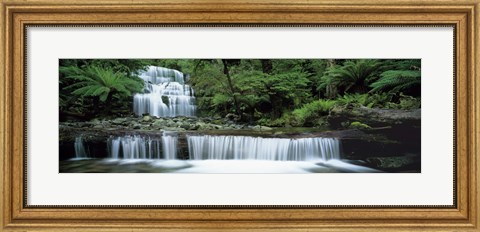Framed Liffey Falls, Tasmania, Australia Print