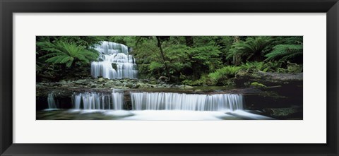 Framed Liffey Falls, Tasmania, Australia Print