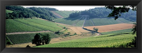 Framed France, Chablis, vineyards Print