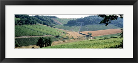 Framed France, Chablis, vineyards Print