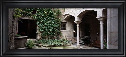 Framed Ivy on the wall of a house, Girona, Spain Print