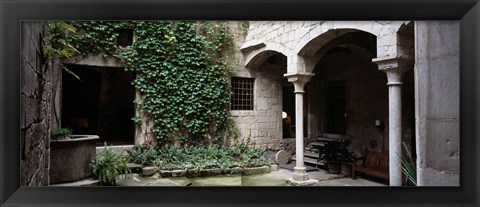 Framed Ivy on the wall of a house, Girona, Spain Print