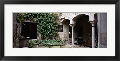 Framed Ivy on the wall of a house, Girona, Spain Print