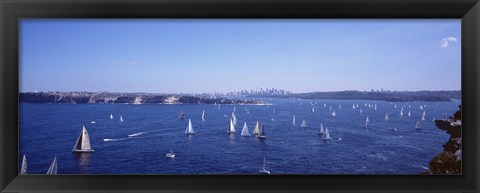 Framed Yachts in the bay, Sydney Harbor, Sydney, New South Wales, Australia Print