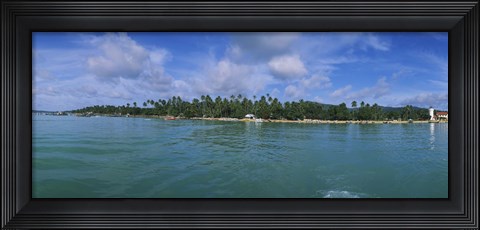 Framed Trees on the beach, Phuket, Thailand Print