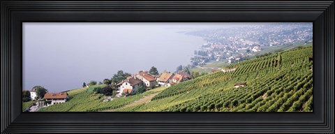 Framed Vineyards, Lausanne, Lake Geneva, Switzerland Print