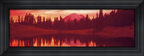 Framed Reflection of trees in water, Tipsoo Lake, Mt Rainier, Mt Rainier National Park, Washington State, USA Print