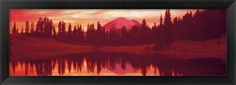 Framed Reflection of trees in water, Tipsoo Lake, Mt Rainier, Mt Rainier National Park, Washington State, USA Print