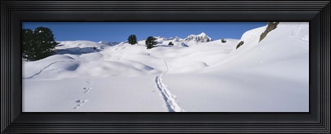 Framed Footprints on a snow covered landscape, Alps, Riederalp, Valais Canton, Switzerland Print