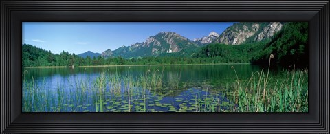 Framed Alpsee Bavaria Germany Print