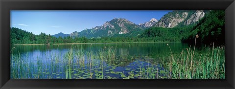 Framed Alpsee Bavaria Germany Print