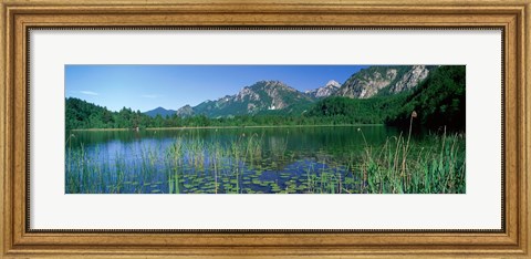 Framed Alpsee Bavaria Germany Print