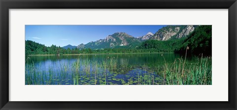 Framed Alpsee Bavaria Germany Print