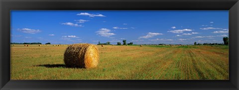 Framed Hay Bales, South Dakota, USA Print