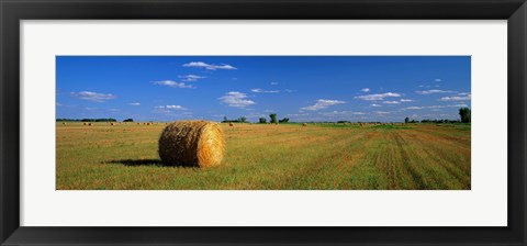 Framed Hay Bales, South Dakota, USA Print