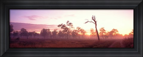 Framed Kakadu National Park Northern Territory Australia Print