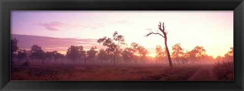 Framed Kakadu National Park Northern Territory Australia Print