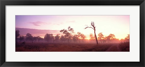 Framed Kakadu National Park Northern Territory Australia Print