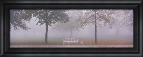 Framed Trees and Bench in Fog Schleissheim Germany Print