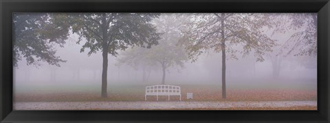 Framed Trees and Bench in Fog Schleissheim Germany Print